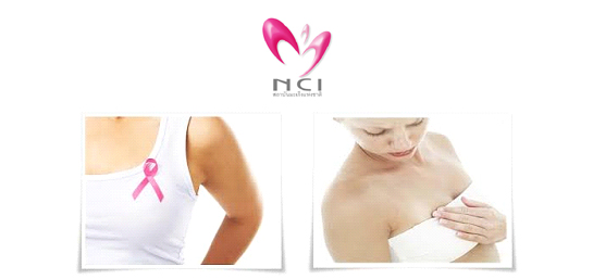 �Ӣ�ѭ�ѹ���ٺ�������š �� �.�.2558 ��� ˹ع�����º��������� ���ͤس�Ҿ���Ե����