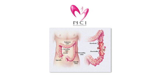 �Ӣ�ѭ�ѹ���ٺ�������š �� �.�.2558 ��� ˹ع�����º��������� ���ͤس�Ҿ���Ե����