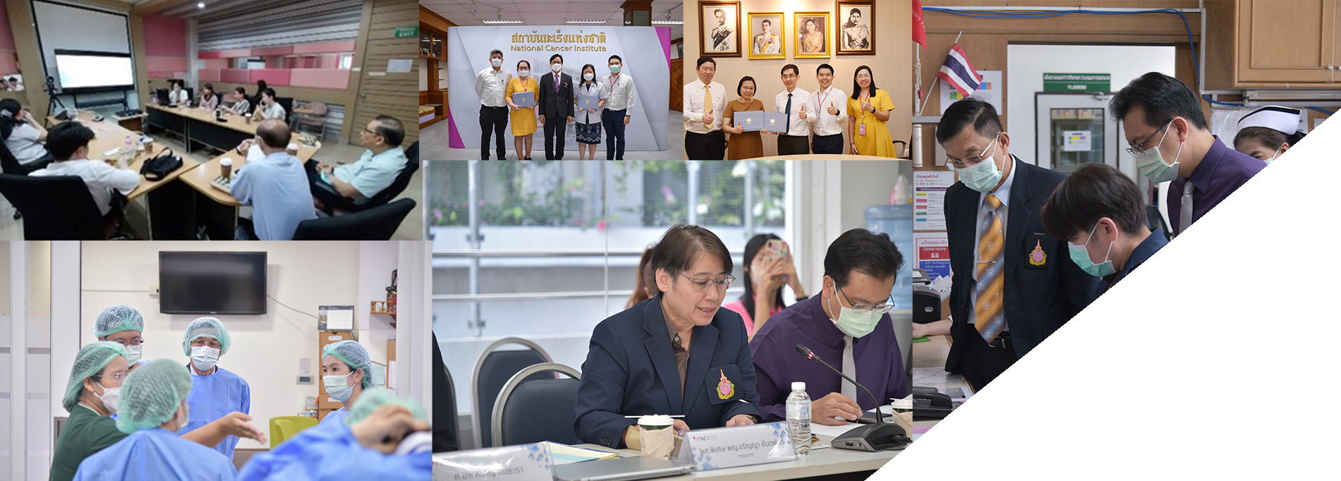 Department of Gynecologic Oncology